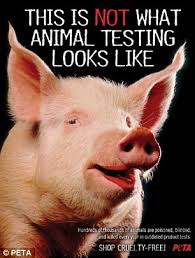 Brands who fall under this category could also be funding you may be using brands that conduct cruel tests on animals. The Top Cruelty Free Make Up Brands Testing On Animals Abroad Daily Mail Online