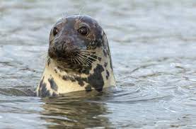 Cancer can develop anywhere in the body. 4 Cancer Sign Symbols You Never Knew About Guy Counseling