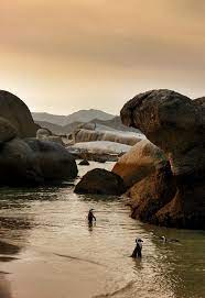 Boulders Beach South Africa Von Carolyneaton Boulder Beach Africa Travel Africa
