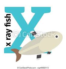 Check spelling or type a new query. English Animals Zoo Alphabet Letter X English Animals Zoo Alphabet With Letter X X Ray Fish Vector Illustration Canstock