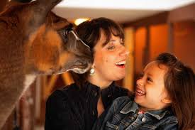 USDA found rotten fencing, lynx cub injury at Watertown zoo