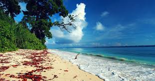 Image result for HAVELOCK ISLAND
