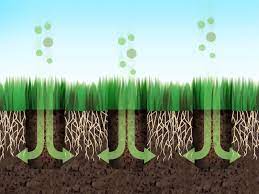 This process helps roots grow deeply and facilitates a strong and lasting garden. How To Aerate A Yard 9 Steps With Pictures Wikihow