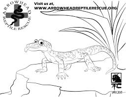 We did not find results for: 27 Brilliant Image Of Gecko Coloring Page Albanysinsanity Com Animal Coloring Books Coloring Books Animal Books
