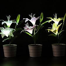 Lanlan Wasserdicht Pink Lily Blume Led Lampe Deko Topf Pflanze Lampe Solar Power Garten Licht Solarleuchten Garten Solar Topfblumen Rosa Lilie Lilien Blumen