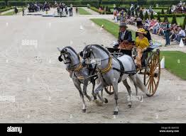 Curricle phaeton hi-res stock ...