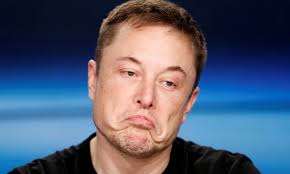 Самые новые твиты от elon musk (@elonmusk): Elon Musk Archives Airdropalert