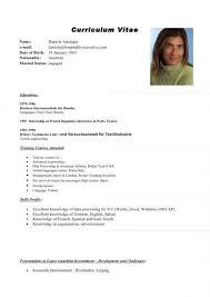 Research Paper Samples Curriculum Vitae Cv English Curriculum Vitae In English