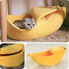 So it's definitely not a diet staple for him, bean's. Banana Cat Bed Cozy Pet Cushion Life Changing Products