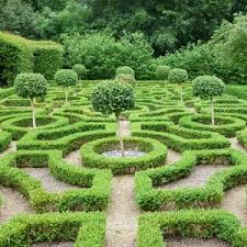 The best way to view a parterre garden is from above, where the carefully planned garden can be enjoyed to best effect. Knot Garden Design And Landscapes With Hedges Instanthedge