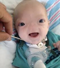 this beautiful little boy s name is eli and he s in defense of the defenseless bebek komik fotograflar komik