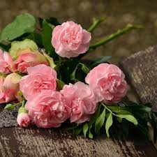 Jacqueline Buford Obituary (2018)