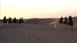 Camels with colorful garlands, palanquins and funny hats with tourists in the background enjoying the beach a tourist police on camels patrolling the giza pyramid site at sunrise, cairo egypt tourist police on. Desert Safari With Dune Buggy Camel Ride Bigtourthailand Com