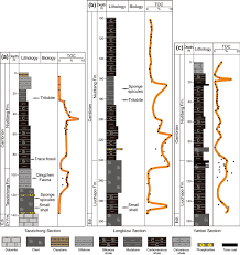 Es una adaptación de la obra teatral homónima del comediógrafo francés laurent baffie. Controls On The Organic Carbon Content Of The Lower Cambrian Black Shale In The Southeastern Margin Of Upper Yangtze Springerlink