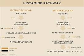 Image result for Histamine