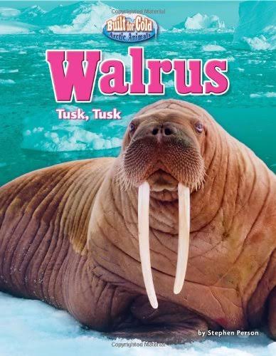 Walrus: Tusk, Tusk (Built for Cold: Arctic Animals) - Person, Stephen:  9781617721335 - AbeBooks