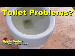 With a wrench, loosen the toilet mounting bolts, or tee bolts, that hold the toilet to the floor. 8 Plumbing Problems You Should Never Ignore World Magazine 2021