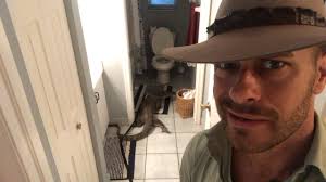 Slinky the Giant Lizard Walking Around My House