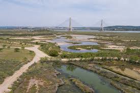 Relatively rare species of birds may make an appearance, often in large numbers — among them, spoonbills, avocets. Spacetraveller Activity Castro Marim Nature Reserve