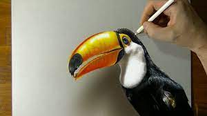 Think of balls and balloons when teaching about spheres. Speed Drawing Toucan 3d Art By Marcello Barenghi Hyperrealism Realistic Drawings Colored Pencil Art Projects Step By Step Drawing