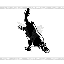 Duck Billed Platypus Ornithorhynchus Anatinus Divin Vector Clipart Download in under 30 seconds. vector images com