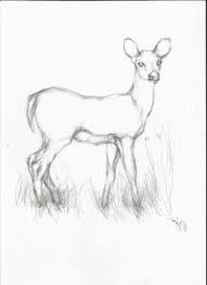 Pin On Drawings