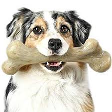 Pin On Dog Supplies Online