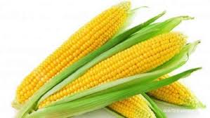 Maybe you would like to learn more about one of these? Sayur Dan Buah Yang Harus Dihindari Saat Menjalankan Program Diet