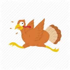 Turkey, pine tree branch, cute turkey, cooked turkey icon. Bird Turkey Wild Turkey Thanksgiving Icon Download On Iconfinder