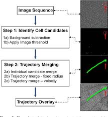 Figure 2 From A Computer Vision Approach To Rare Cell In