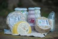 Resultado de imagen para apadrine vaca masclaperol