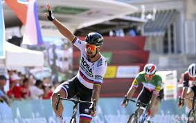 Denn wir wollen, dass sie sich auf ihrem neuen tour de suisse velo so richtig wohl fühlen! Sagan Leads Tour De Suisse After Stage 3 Victory Daily News Digest Cyclingtips