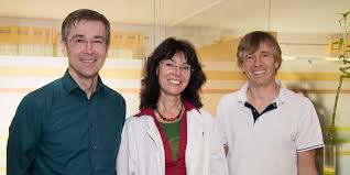 Ein hausarzt ist ein niedergelassener (freiberuflicher) arzt oder in einer ärztlichen kooperationsgemeinschaft wie z. Hausarztpraxis In Wolfratshausen Arzt Arztpraxis Hausarzt Internist