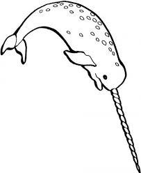 Cute baby narwhal coloring page netart 3. Narwhal Coloring Page Coloring Home