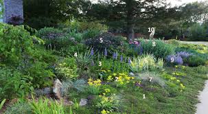 Great Plants For A Water Wise Garden Water Wise Landscaping Waterwise Garden Plants