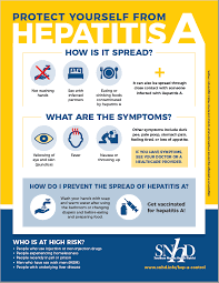 Hepatitis a is an infectious disease of the liver caused by hepatovirus a (hav); Ausbruch Hepatitis A Southern Nevada Health District