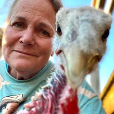 Video coming in from our crews in Buxton of *5* houses collapsing within  the past couple of hours. Due to baseball, we are pre-empted