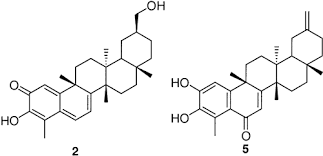 Image result for Salacia madagascariensis