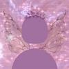 Discord standard profilbild images is match and guidelines that suggested for you, for enthusiasm about you search. 1