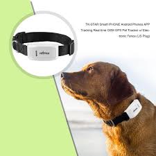 Pet Gps Gsm Tracker For Cats Dogs With Collar Real Time Tracking Free Web Platfrom Smart Iphone Android Phones App Tracking Pet Gps Pet Tracker Pets