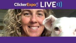 Joey Iverson's Instagram, Twitter & Facebook