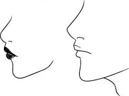 Draw a cartoon cat face; How To Draw Profile Faces And Mouths Side View Step 9 Profile Drawing Lips Drawing Face Drawing