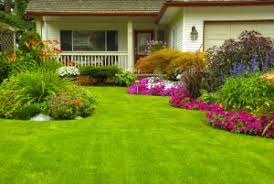 For other uses, see pc (disambiguation). Landscaping With Pests In Mind Advice From The Pros Colonial Pest Control