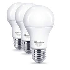 Indoor Outdoor Automatic On Off Sensor Led Light Bulbs Light Bulbs The Home Depot