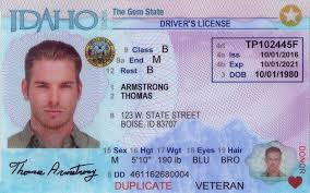 idaho new drivers license application and renewal 2019