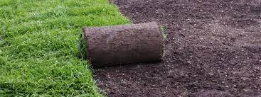 Our friendly professional team is ready and willing to do all the lifting, loading and disposal or sod and soil from anywhere around your house! Sod Installation How To Find Sod Near Me And Grow Grass