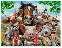 Trademark Fine Art Happy Farm By Howard Robinson Canvas Art Farm Canvas Art Happy Farm Farm Animals