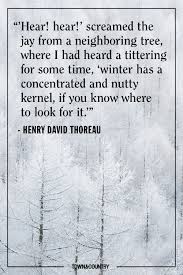 Are you coming to the tree? 30 Best Winter Quotes Cute Sayings About Snow The Winter Season