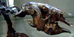 How Aquatic Sloths Adapted To Their New Life In The Sea Prehistoric Animals Sloth Aquatic