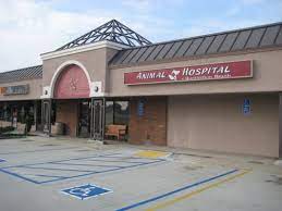 Top rated huntington beach vet. Animal Hospital Of Huntington Beach 72 Photos 146 Reviews Veterinarians 15021 Edwards St Huntington Beach Ca United States Phone Number